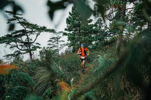 BIB: 
                            <button type="button" onclick="openModal(25258450)" class="btn btn-primary btn-sm float-right btn-popup" data-toggle="modal" data-target=".modal-high-quality">
                        <i class="fas fa-shopping-cart"></i> Add to Cart
                    </button>
                                            <button type="button" onclick="isThisMe(25258450, true)" class="btn btn-success btn-sm float-right btn-popup btn-isme hidden" data-toggle="tooltip" data-placement="bottom" title="นี่คือรูปของคุณใช่ไหม คลิกที่นี่เพื่อเอาเข้าอัลบั้ม">
                        <i class="fas fa-plus"></i> Add to album
                    </button>
                    <button type="button" onclick="isThisMe(25258450, false)" class="btn btn-warning btn-sm float-right btn-popup btn-isnotme hidden">
                        <i class="fas fa-ban"></i> Remove from album
                    </button>